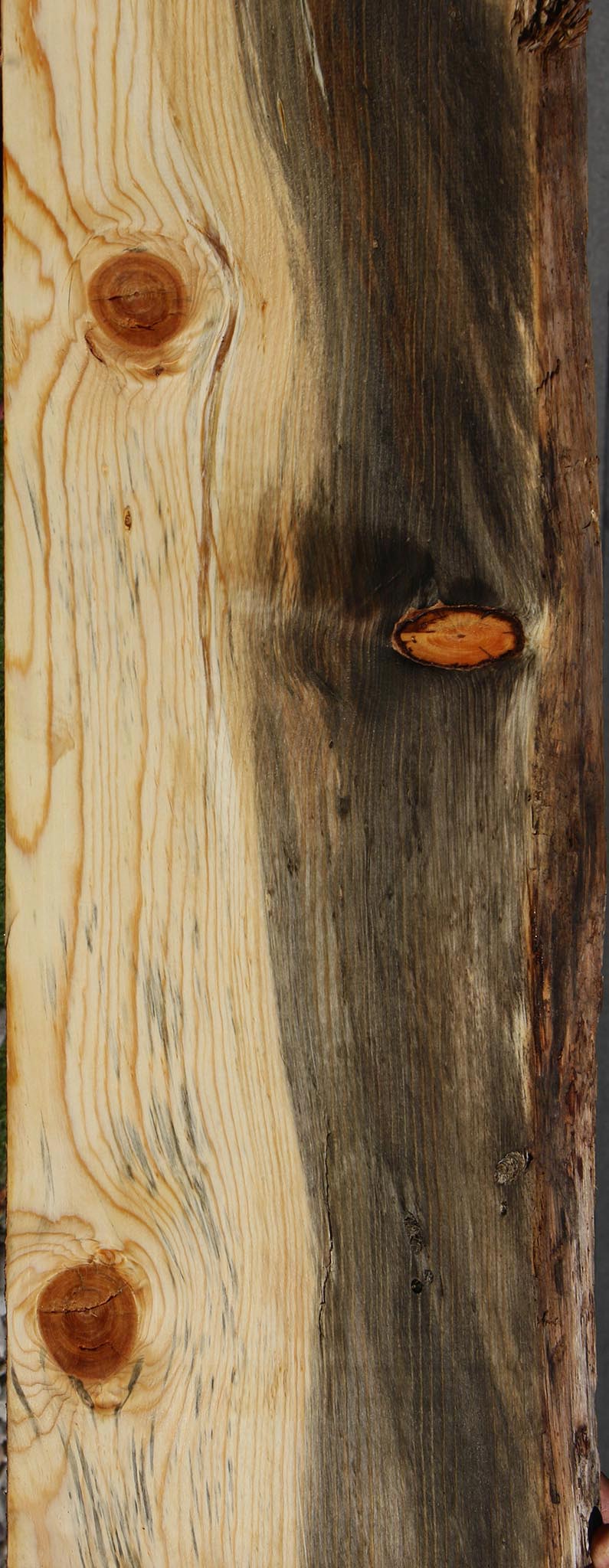 Blue Pine Live Edge Mantel