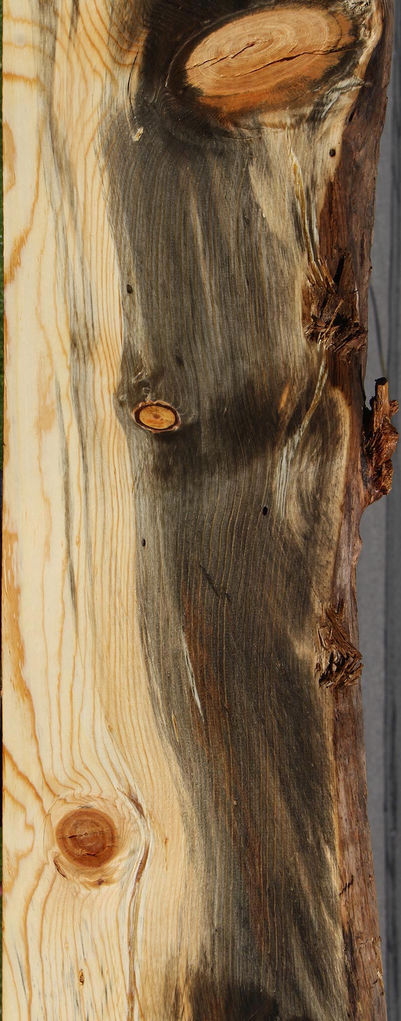 Blue Pine Live Edge Mantel