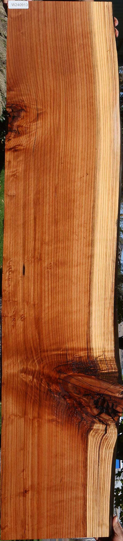 Redwood Live Edge Slab