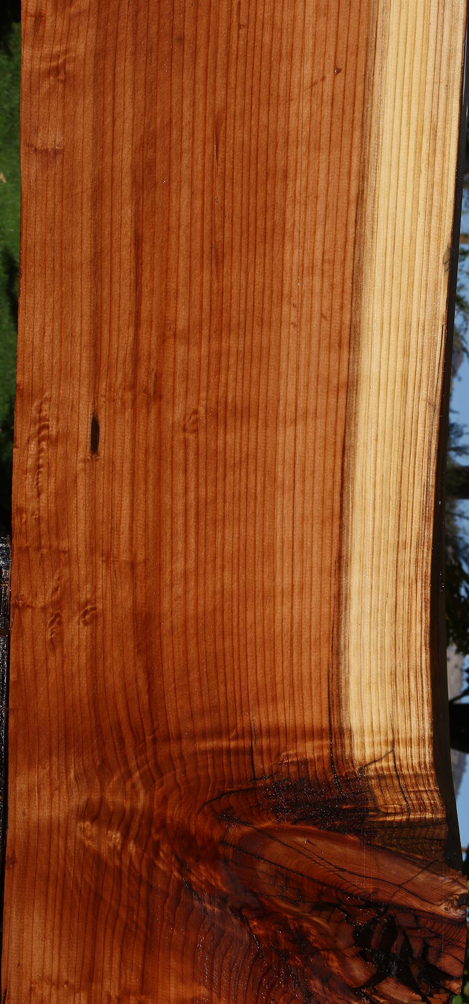 Redwood Live Edge Slab