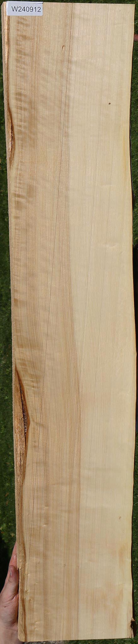 Black Cottonwood Lumber