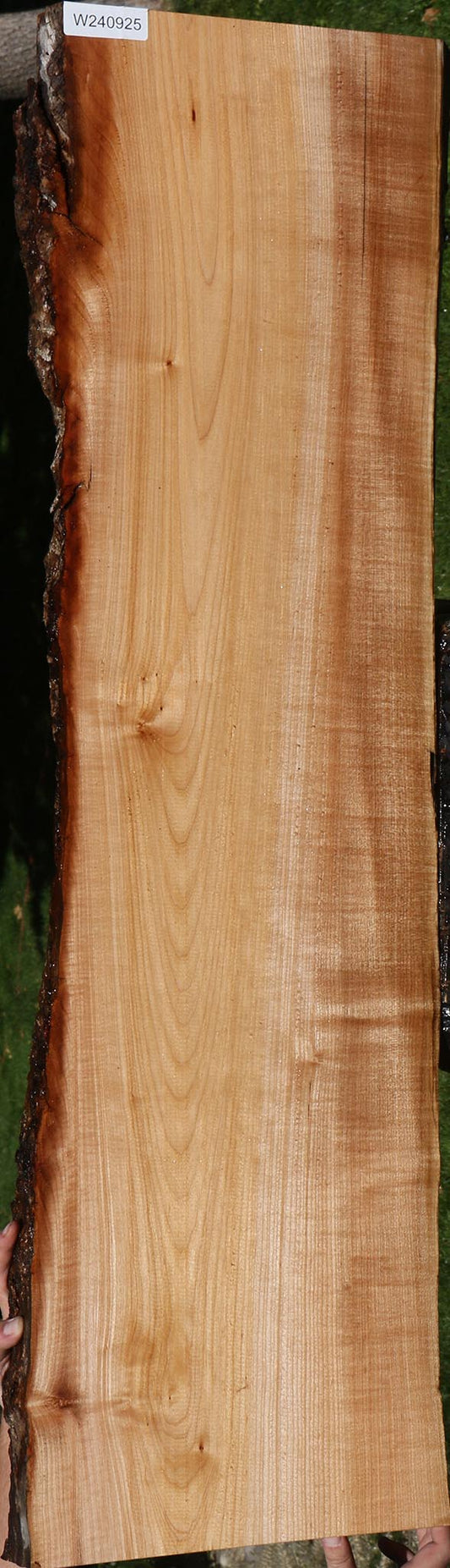 Maple Live Edge Mini Slab