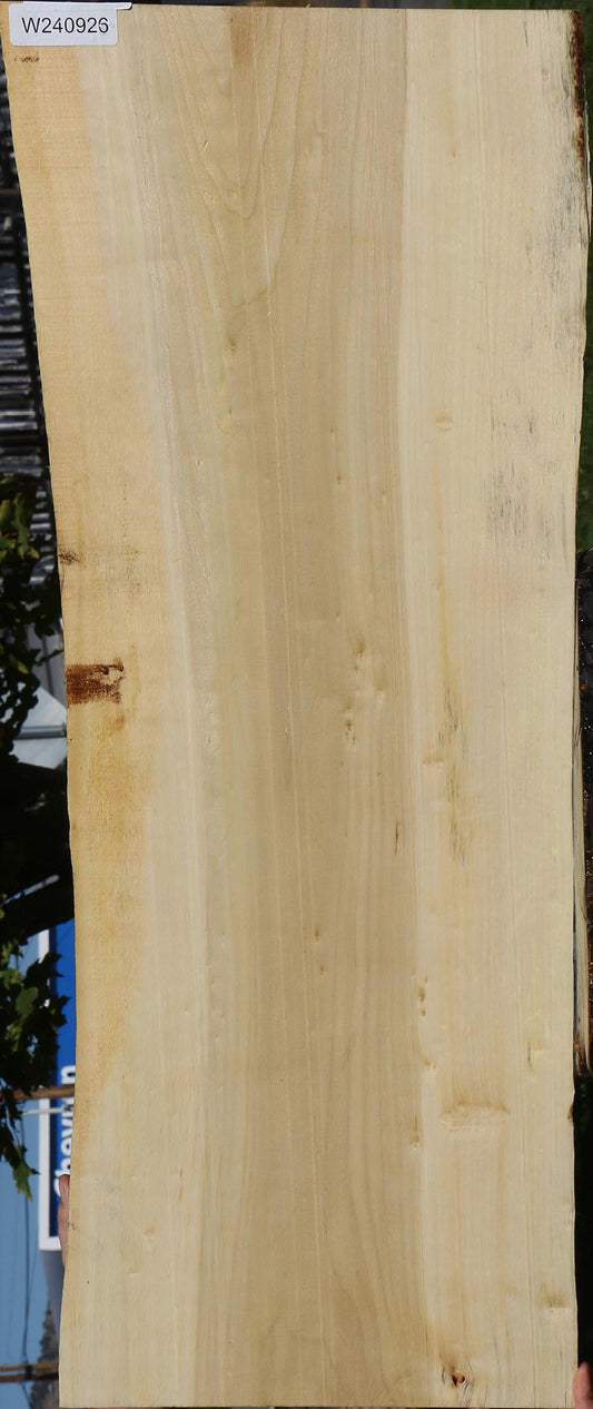 Black Cottonwood Live Edge Mini Slab