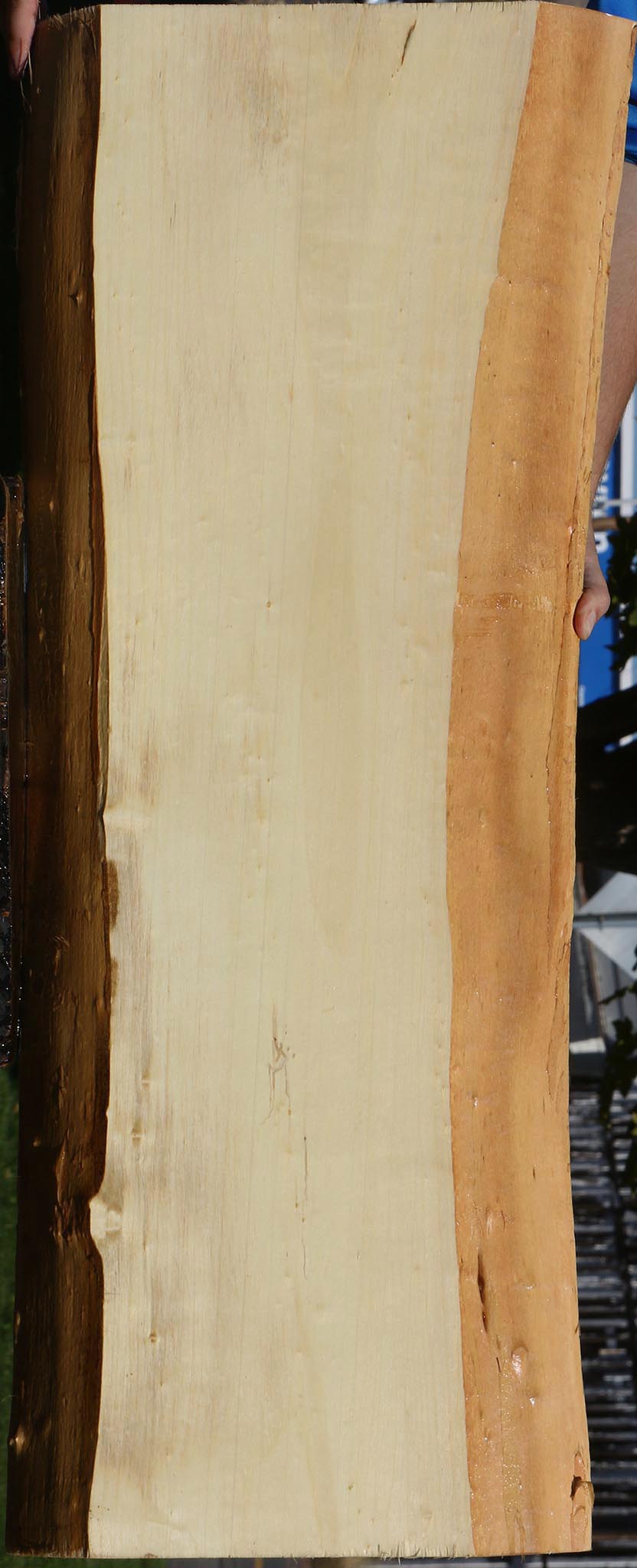 Black Cottonwood Live Edge Mini Slab