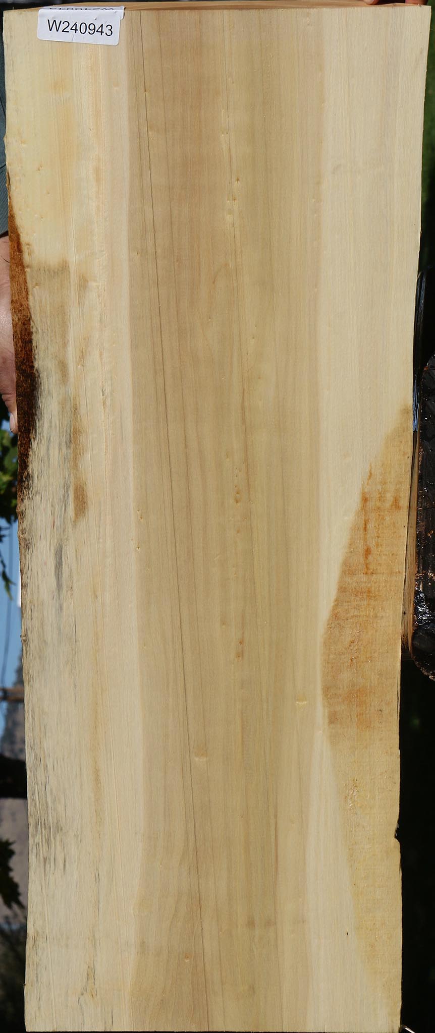 Black Cottonwood Live Edge Mini Slab