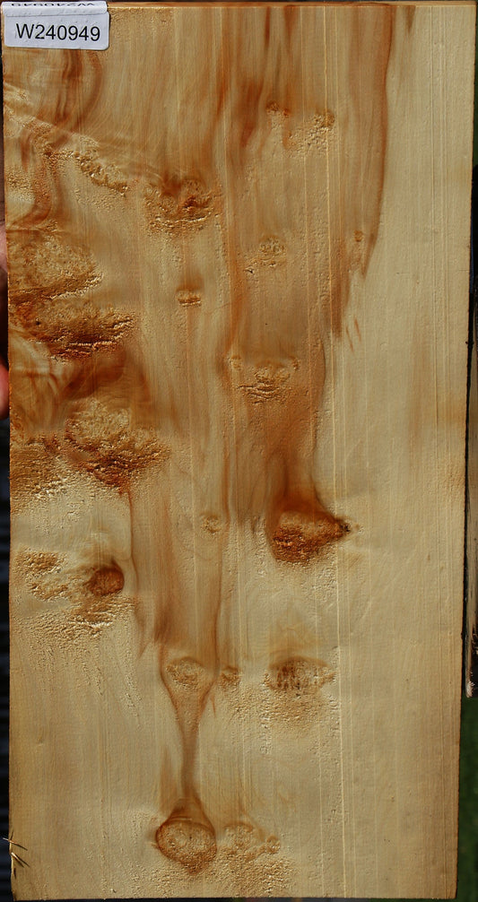 Extra Fancy Box Elder Burl Lumber