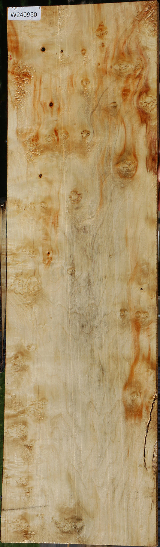 Extra Fancy Box Elder Lumber