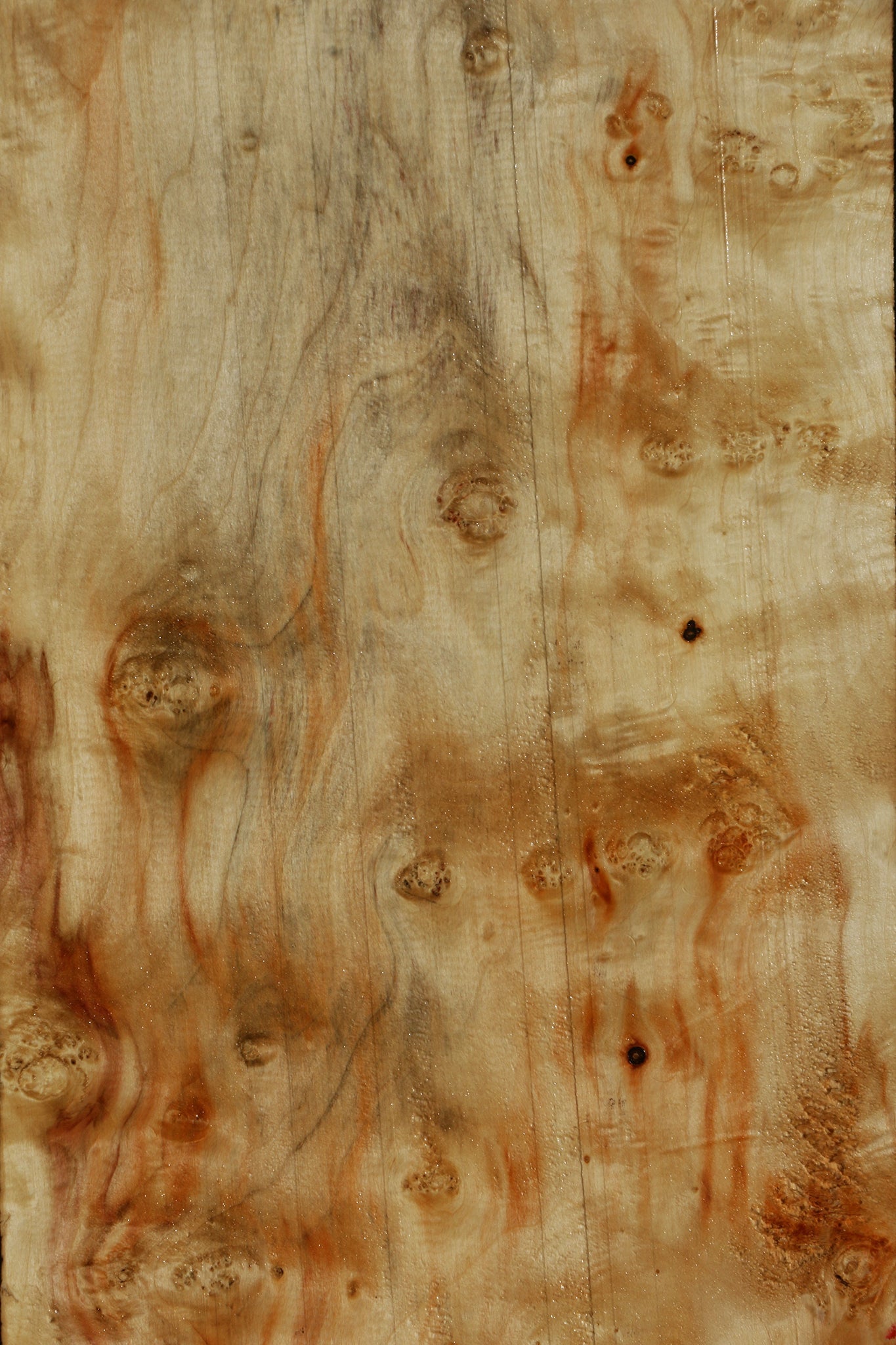 Extra Fancy Box Elder Lumber