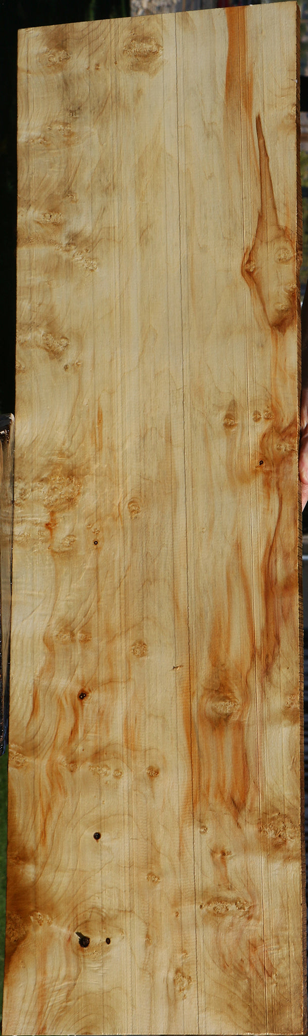 Extra Fancy Box Elder Lumber