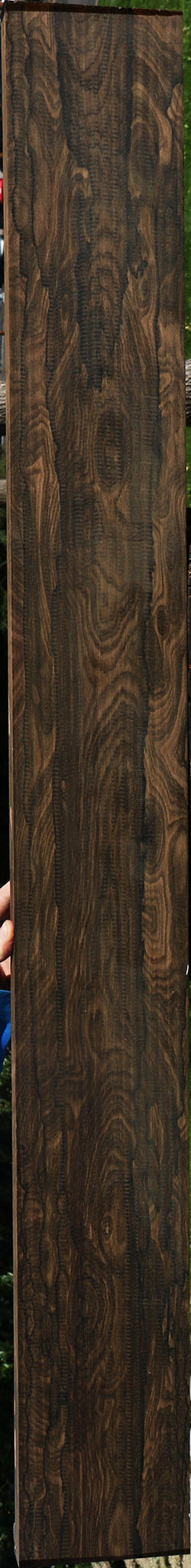 Exhibition Ziricote Instrument Lumber