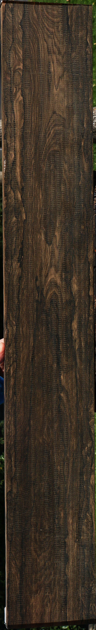 Exhibition Ziricote Instrument Lumber