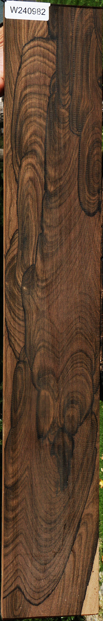 Exhibition Ziricote Instrument Lumber