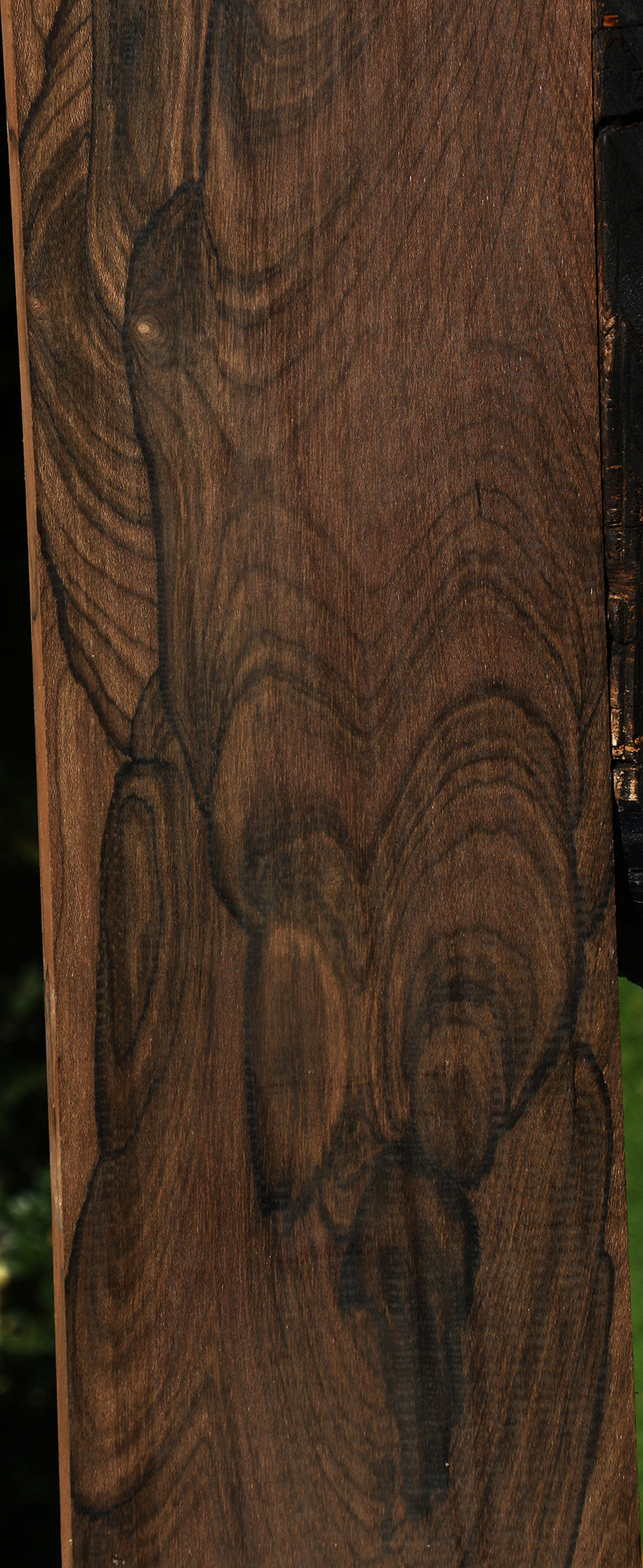 Exhibition Ziricote Instrument Lumber