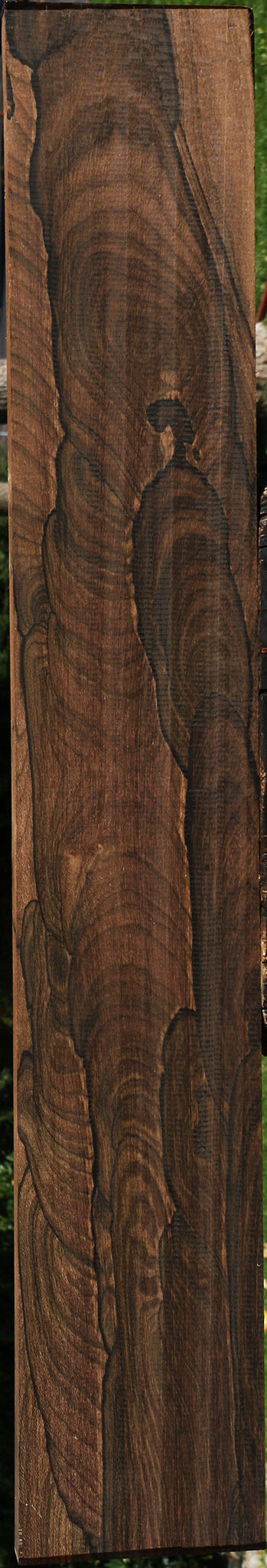 Exhibition Ziricote Instrument Lumber