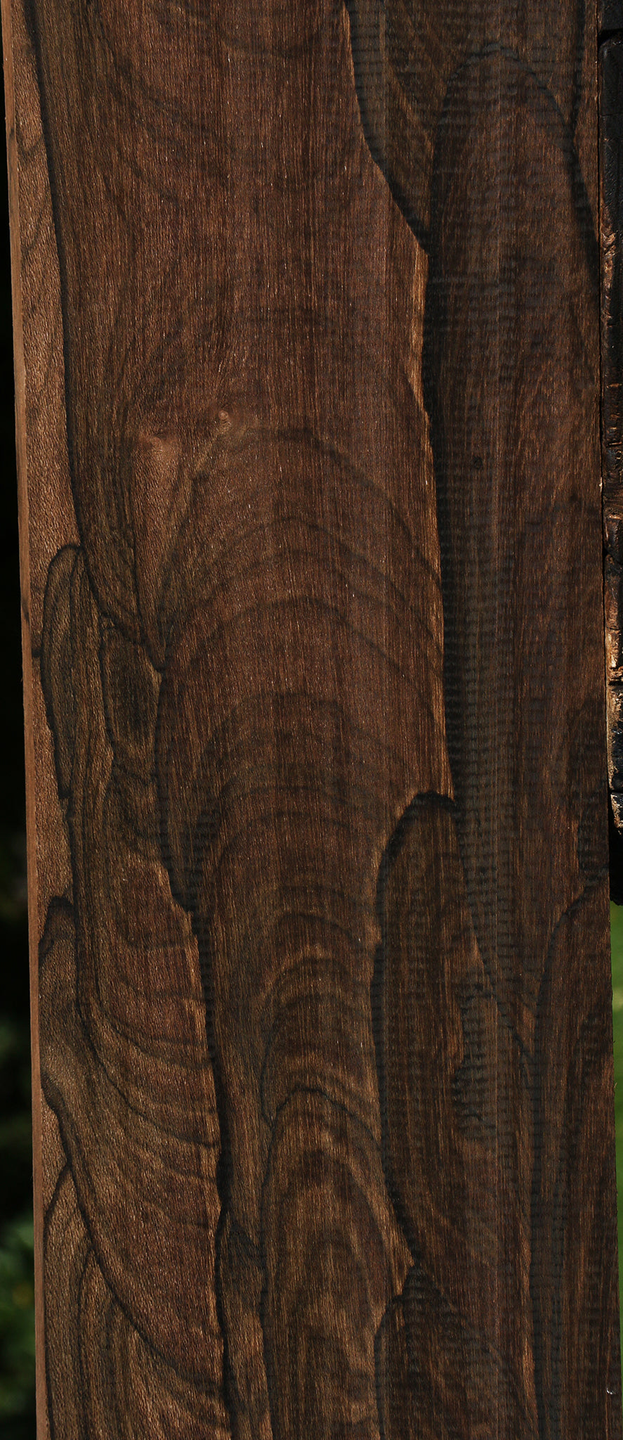 Exhibition Ziricote Instrument Lumber