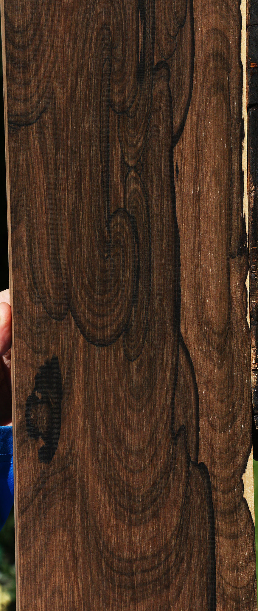 Extra Fancy Ziricote Instrument Lumber