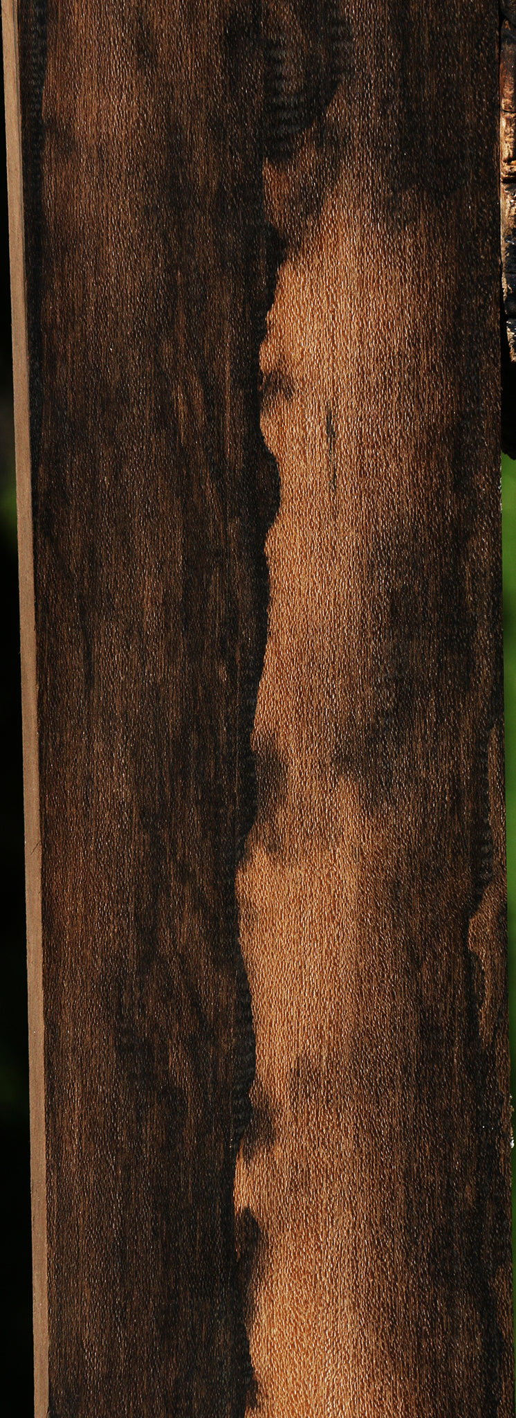 Extra Fancy Ziricote Lumber