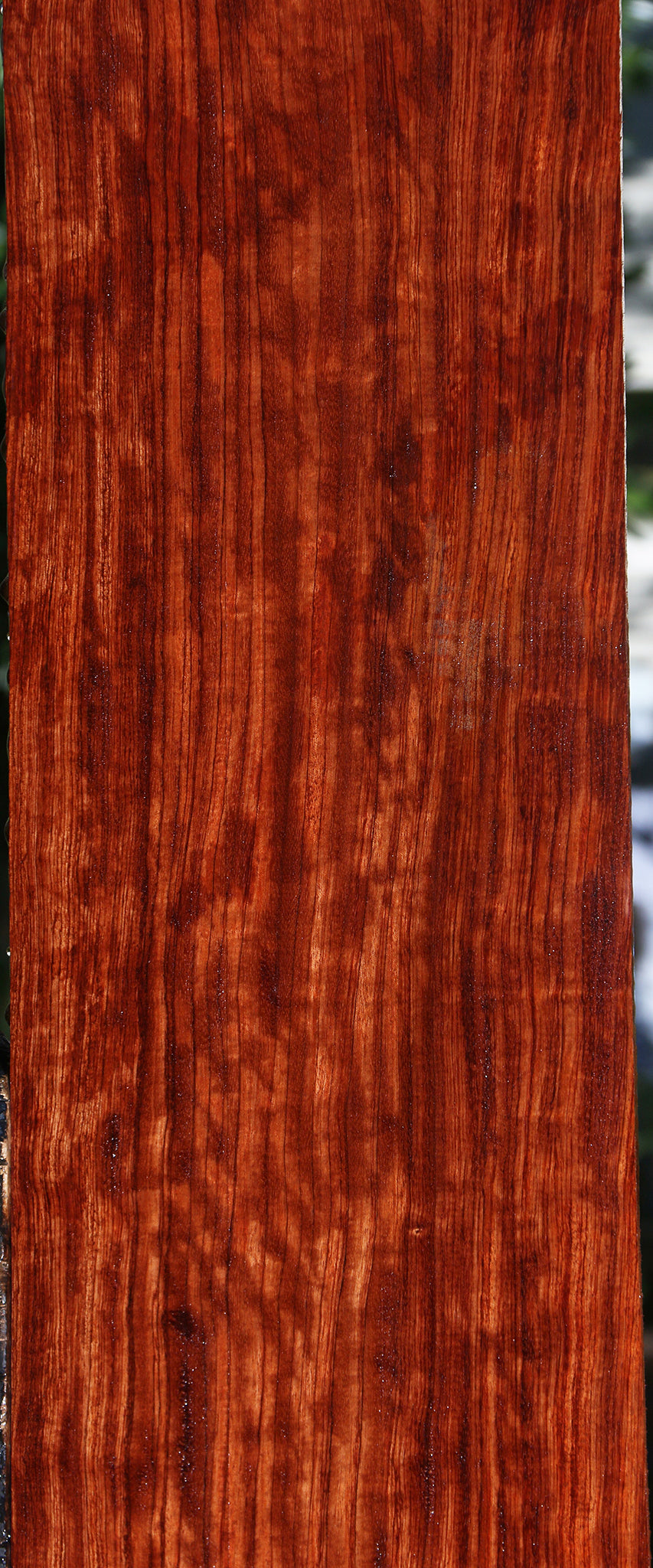 Extra Fancy Bubinga Lumber