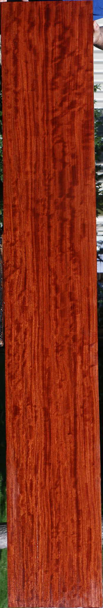 Extra Fancy Bubinga Lumber