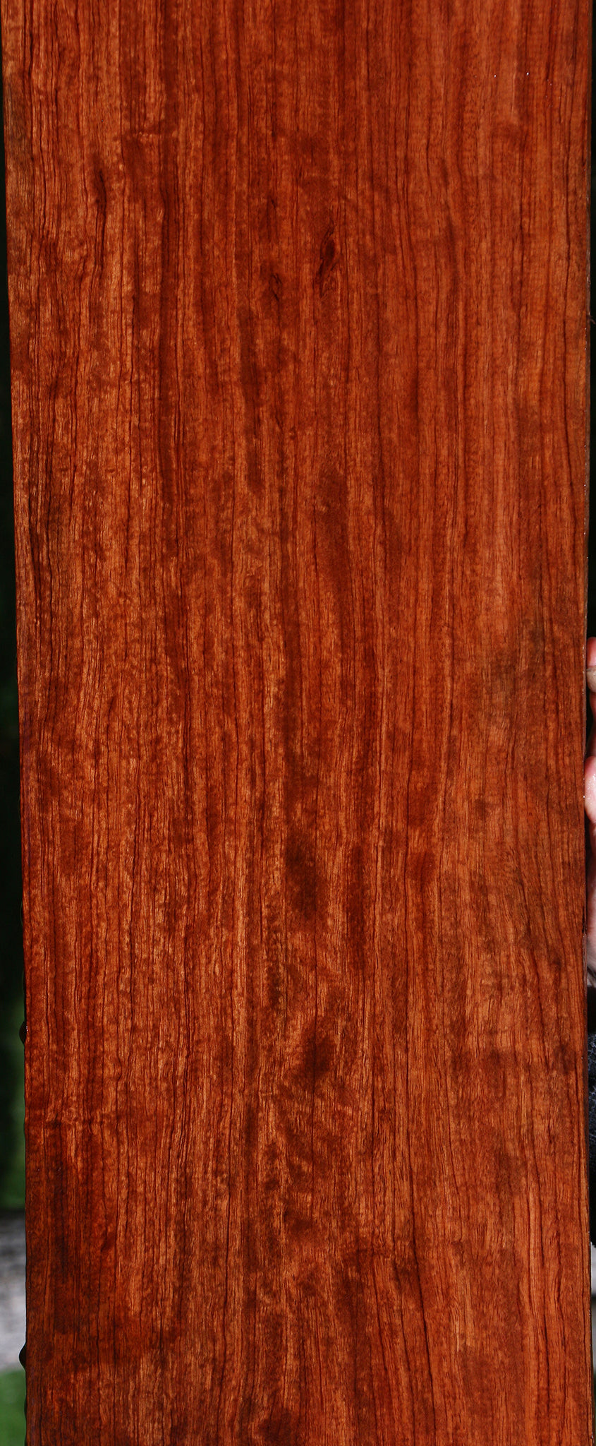 Extra Fancy Bubinga Lumber