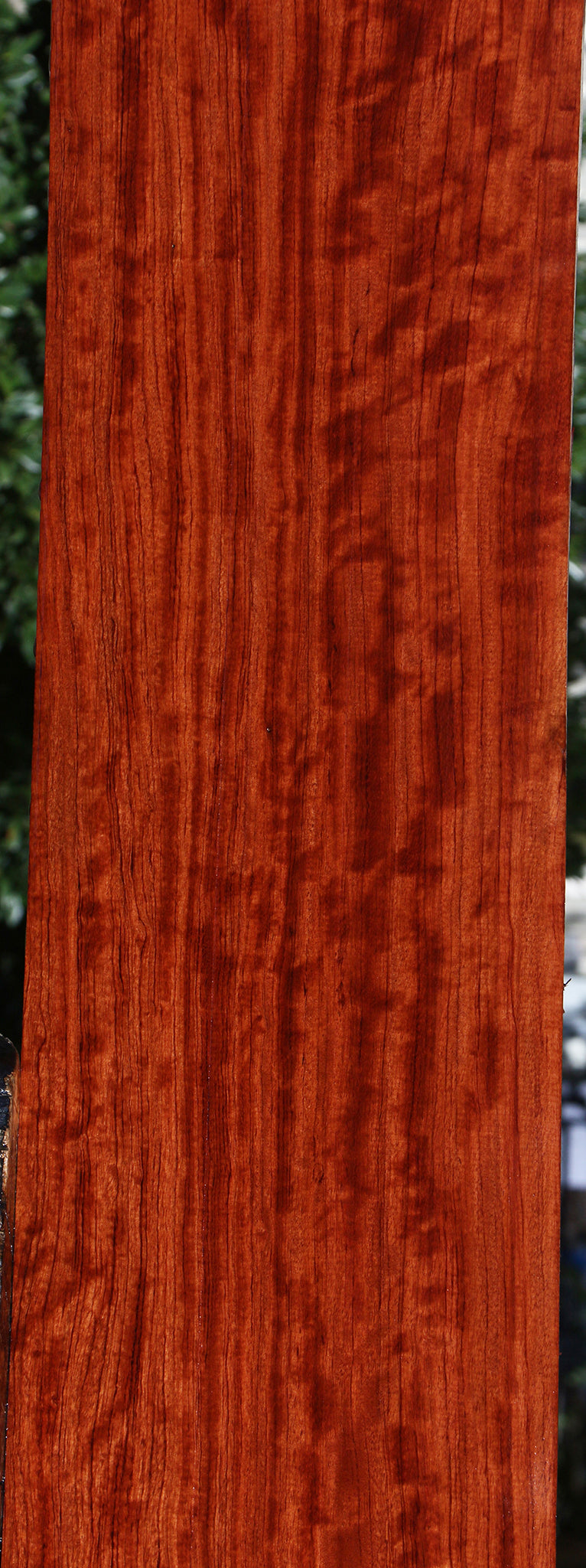 Extra Fancy Bubinga Lumber