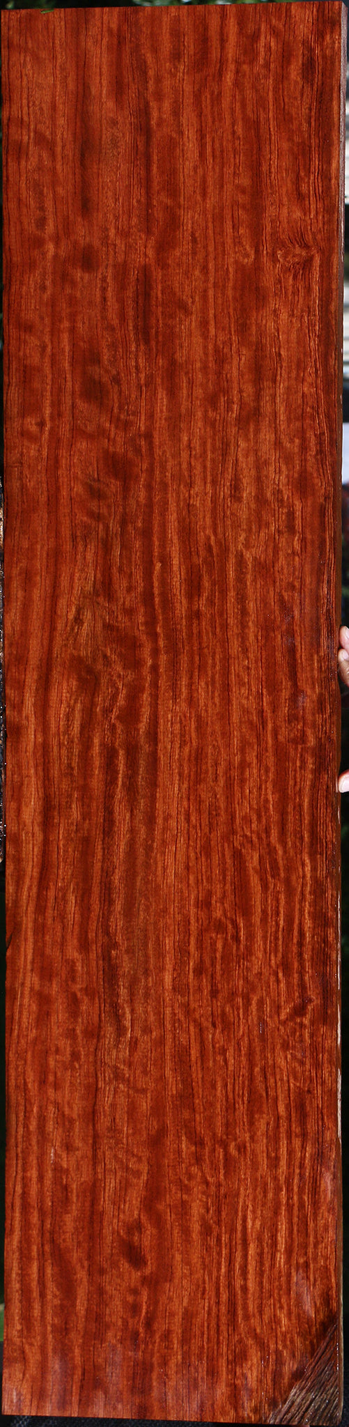 Extra Fancy Bubinga Lumber