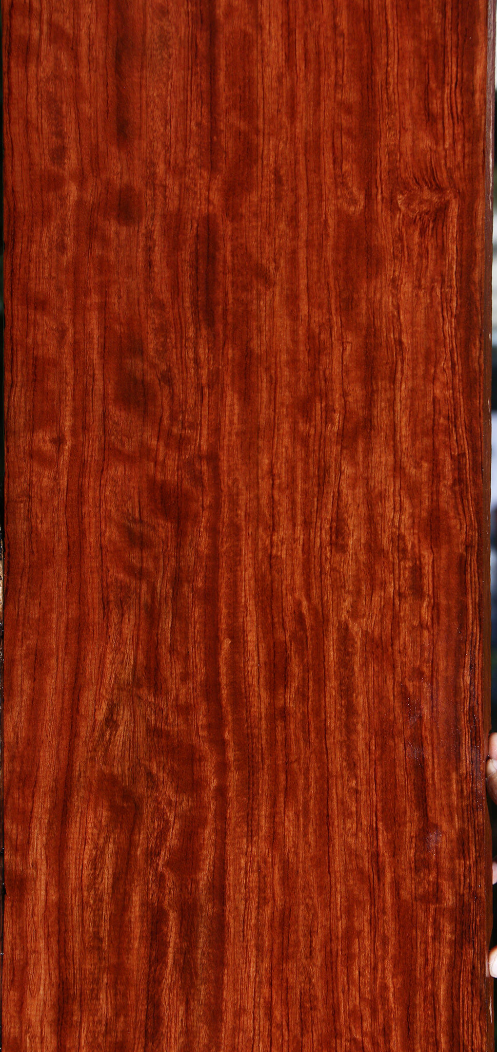 Extra Fancy Bubinga Lumber