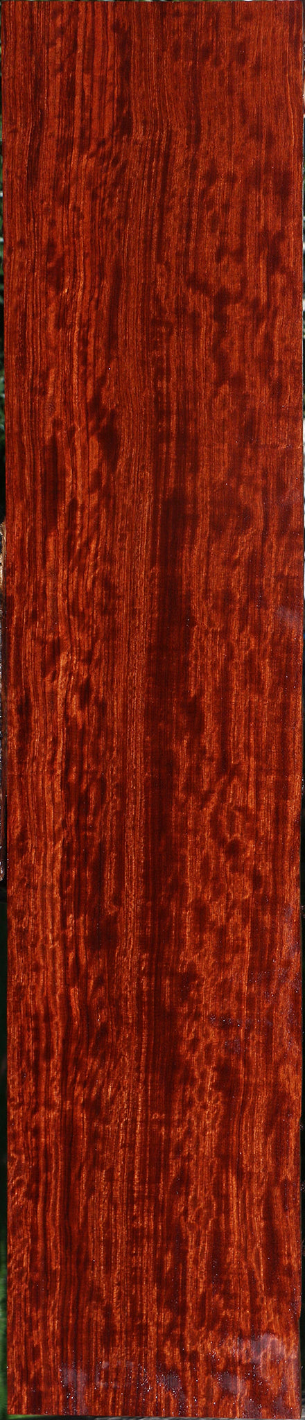 Extra Fancy Bubinga Lumber