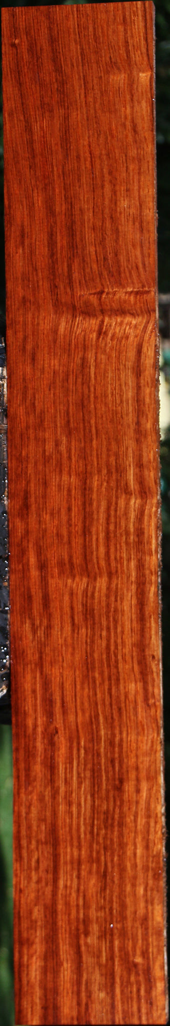 Figured Bubinga Lumber