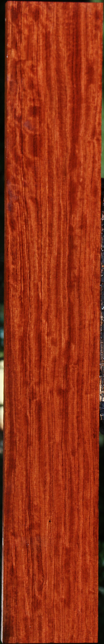 Extra Fancy Bubinga Lumber