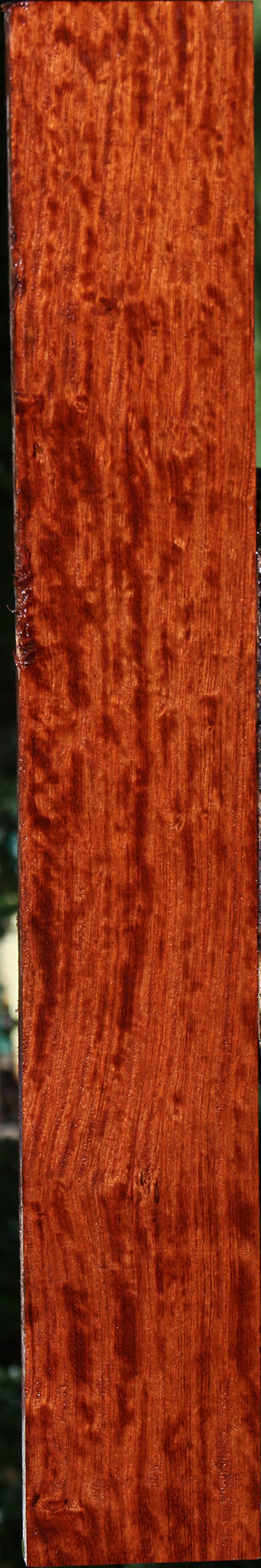Extra Fancy Bubinga Lumber