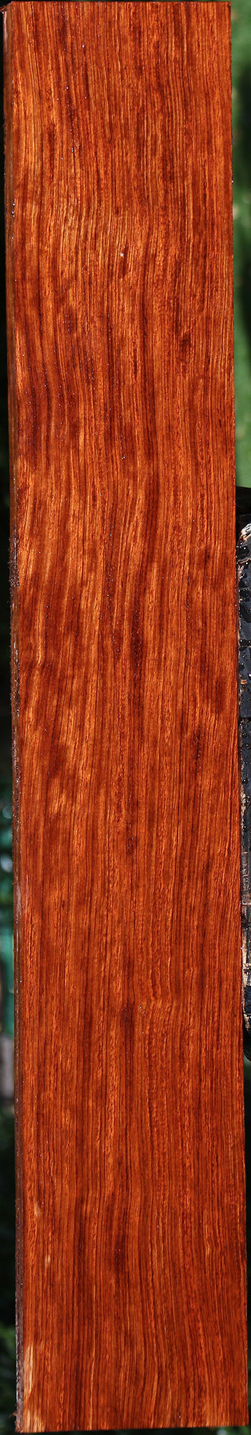 Figured Bubinga Lumber