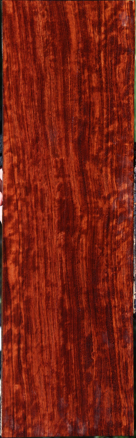 Extra Fancy Bubinga Lumber