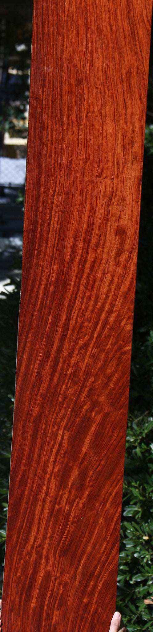 Figured Bubinga Lumber