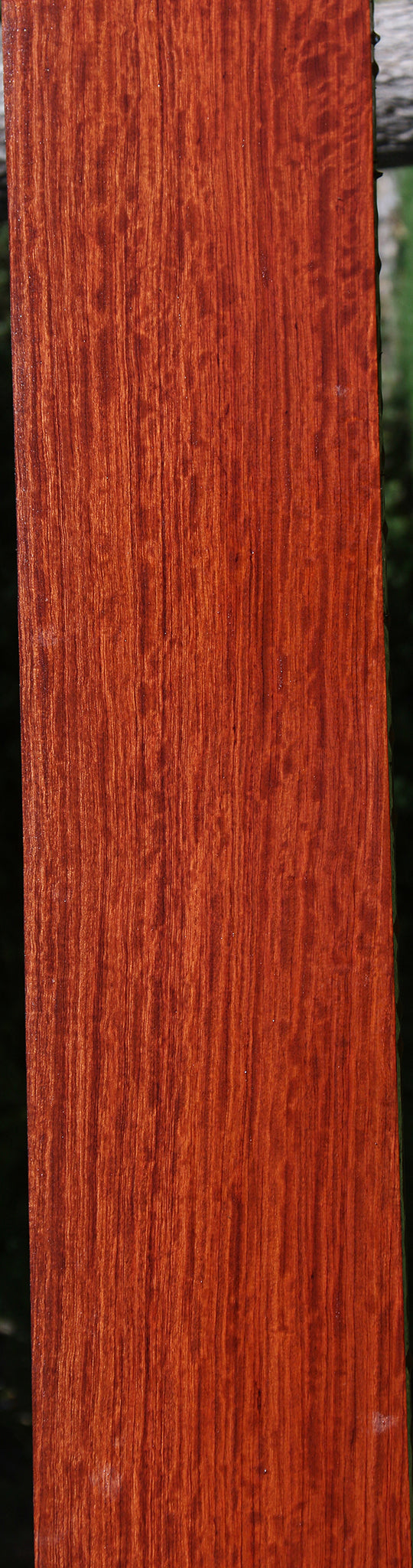 Figured Bubinga Lumber