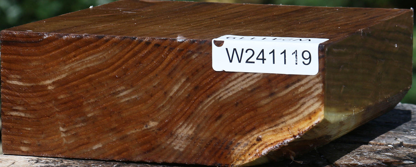 Russian Olive Bowl Blank