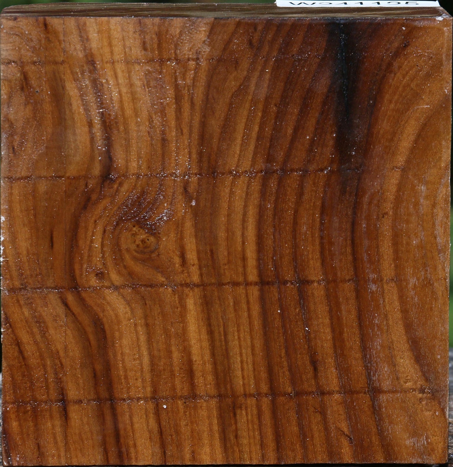 Russian Olive Bowl Blank