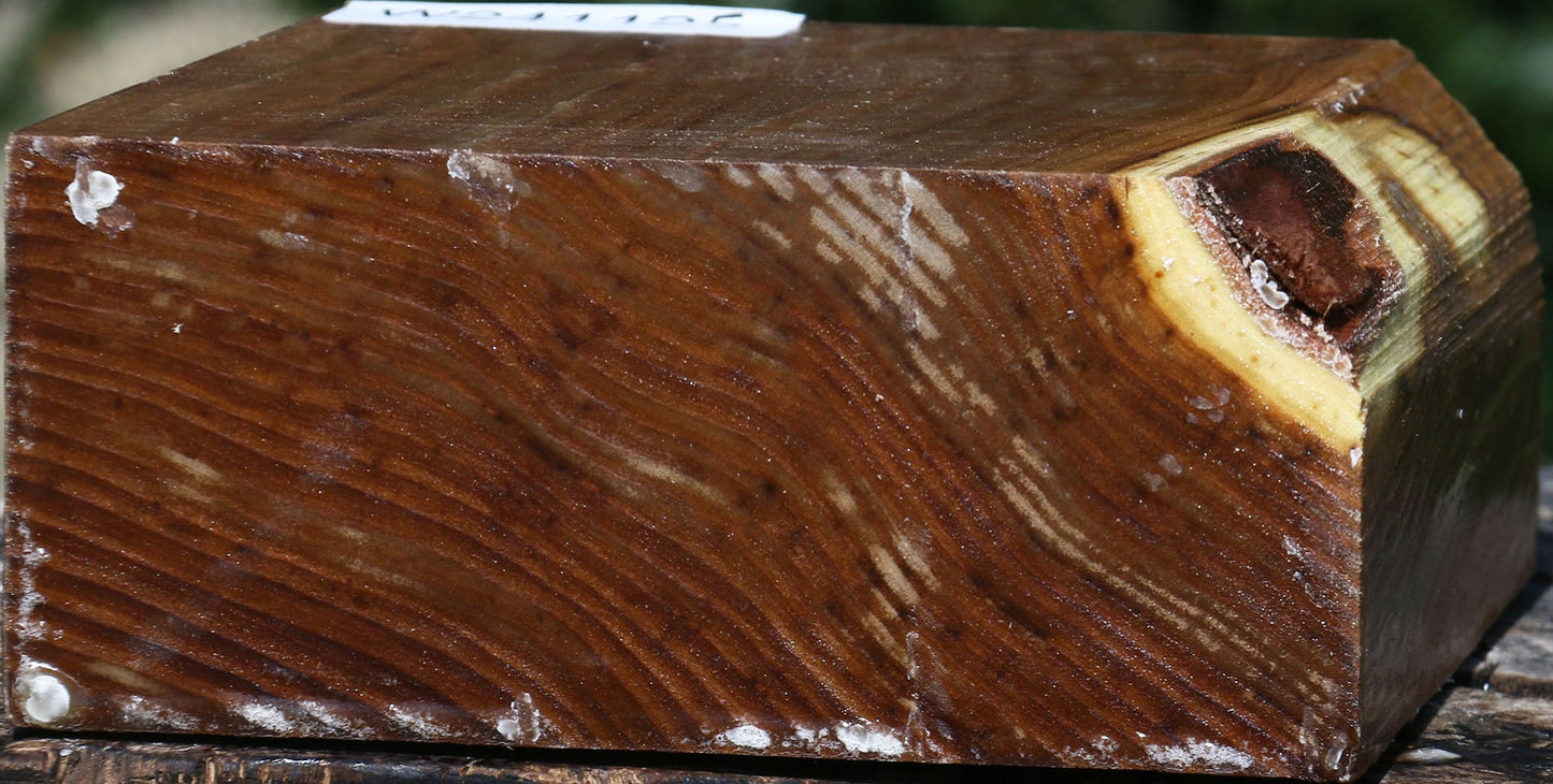 Russian Olive Bowl Blank