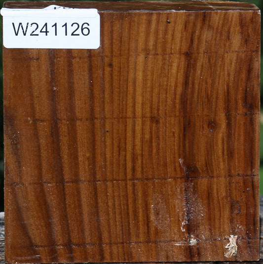 Russian Olive Bowl Blank