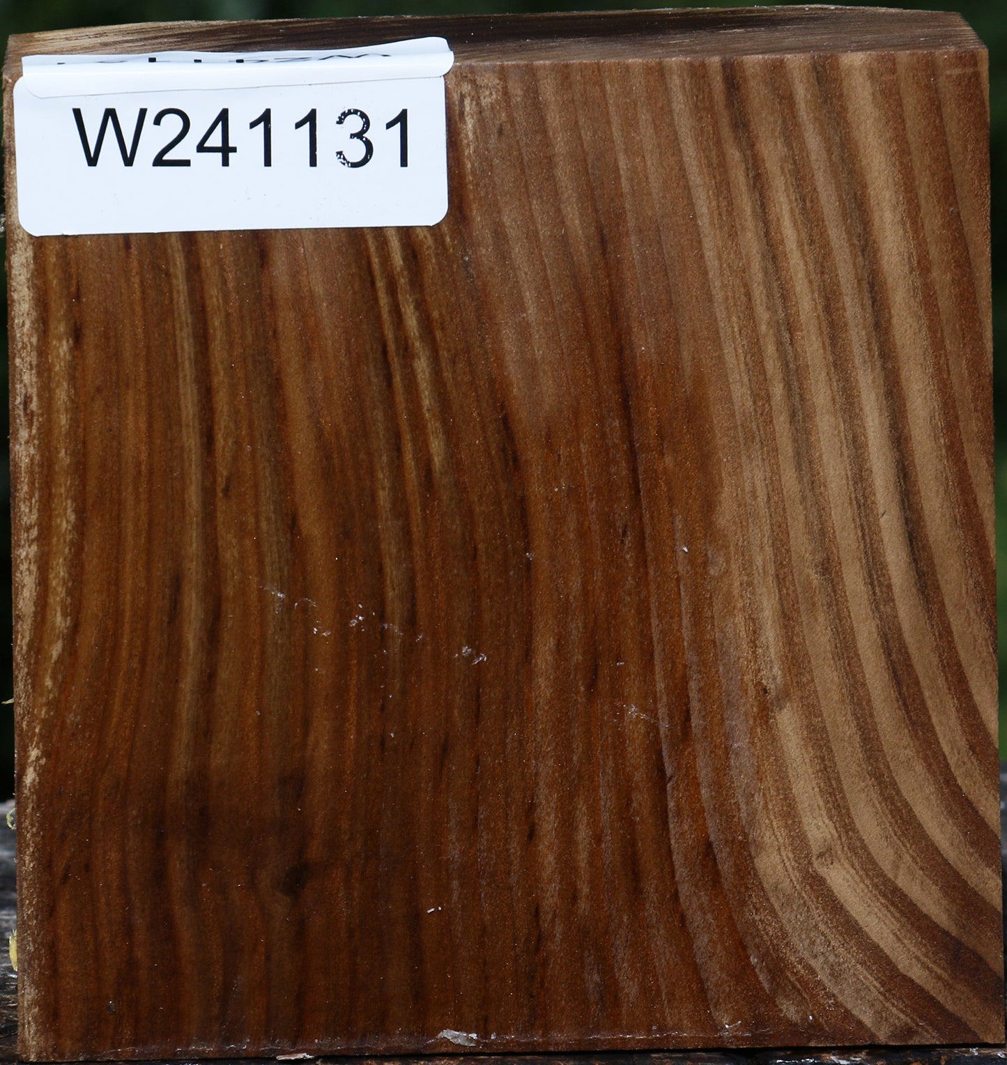 Russian Olive Bowl Blank