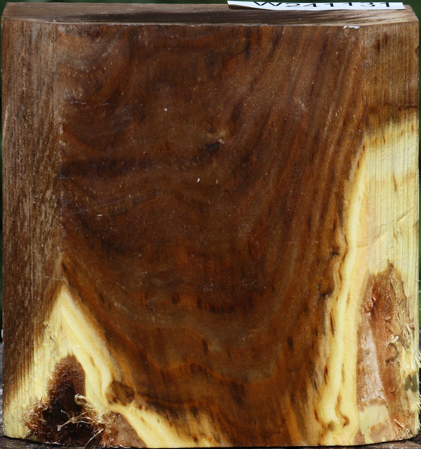 Russian Olive Bowl Blank