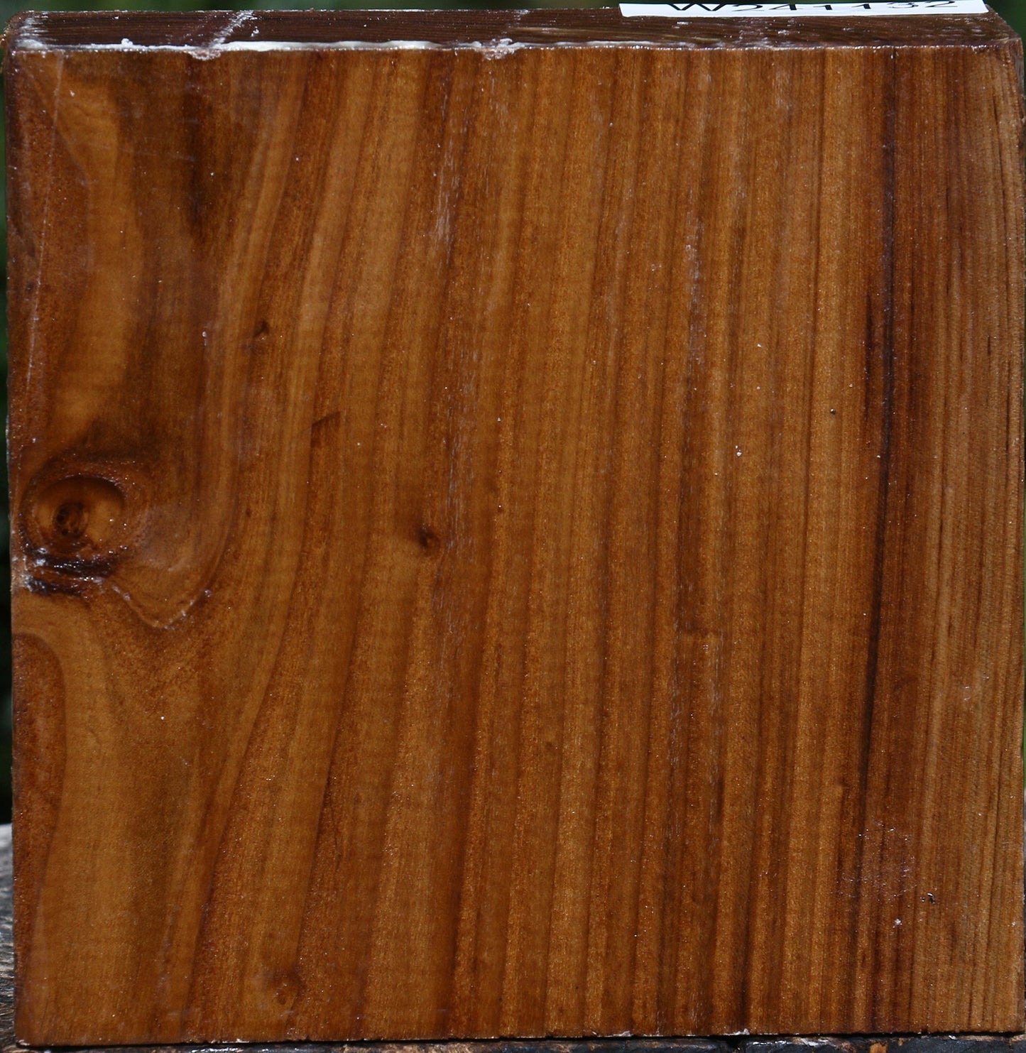 Russian Olive Bowl Blank