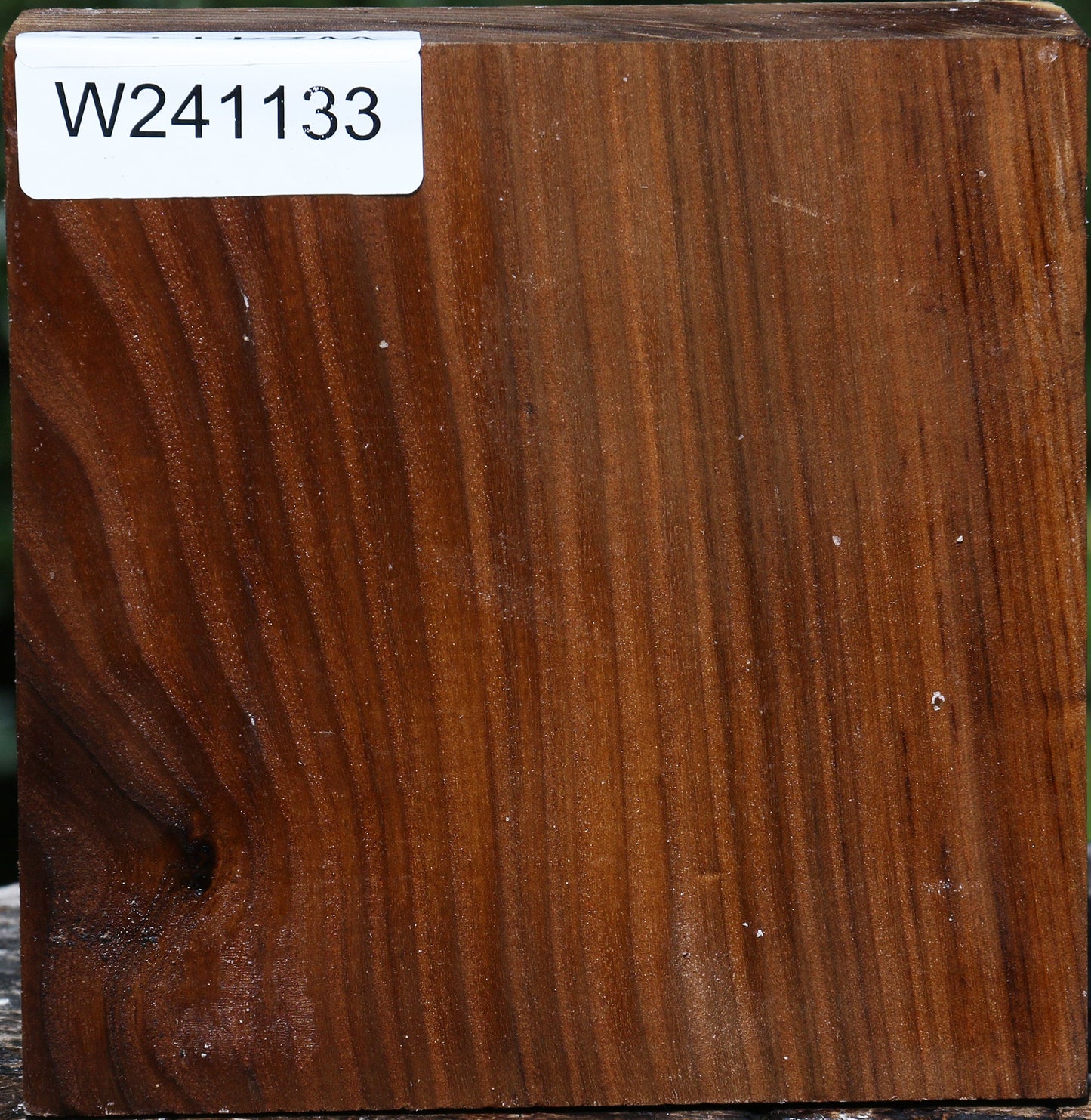 Russian Olive Bowl Blank