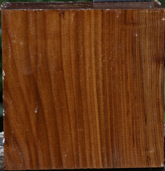 Russian Olive Bowl Blank