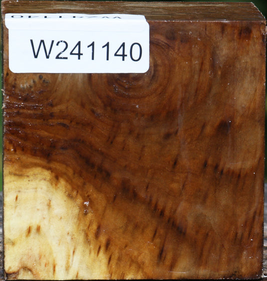 Russian Olive Bowl Blank