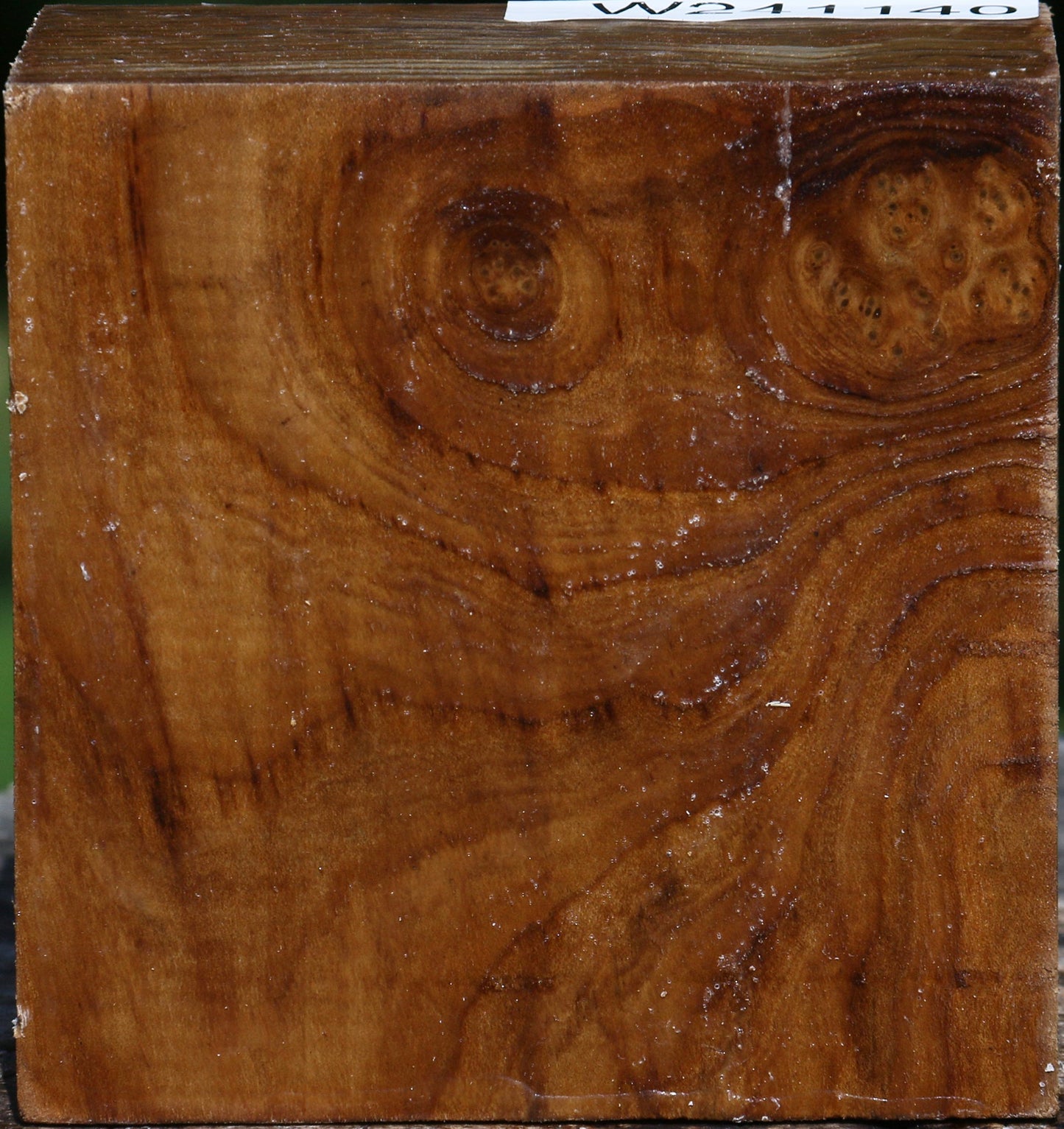 Russian Olive Bowl Blank