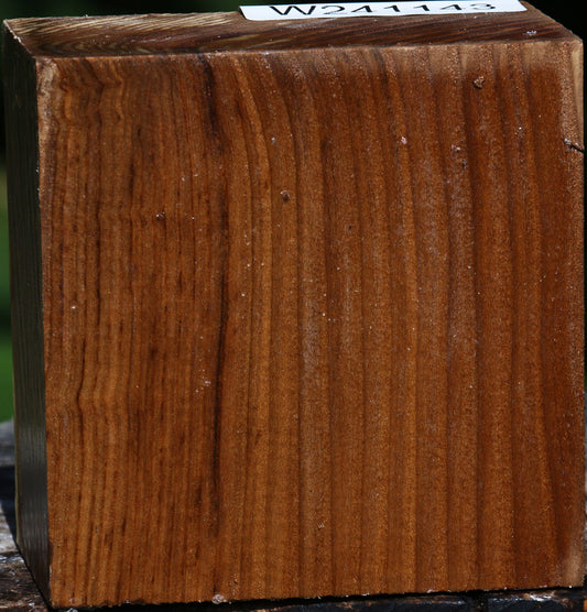 Russian Olive Bowl Blank