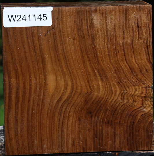 Russian Olive Bowl Blank