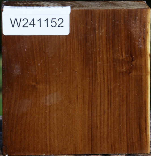 Russian Olive Bowl Blank