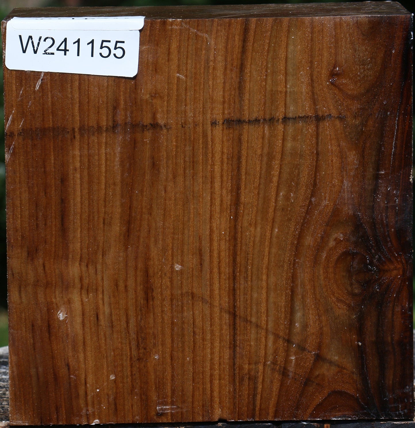 Russian Olive Bowl Blank